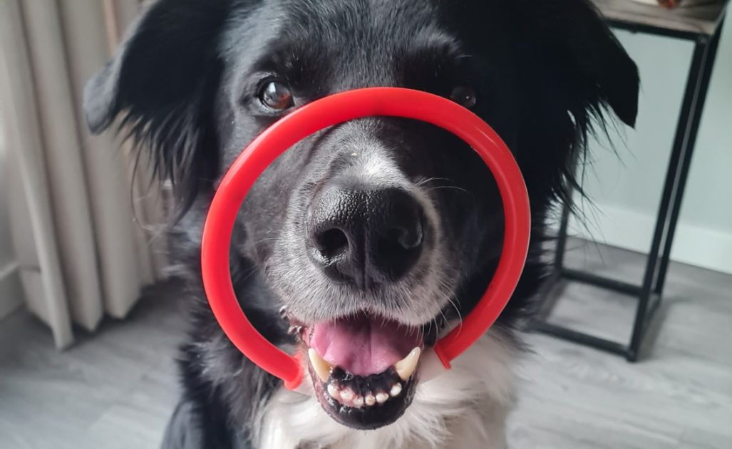 275862022_154571613654769_5456430045976250170_n