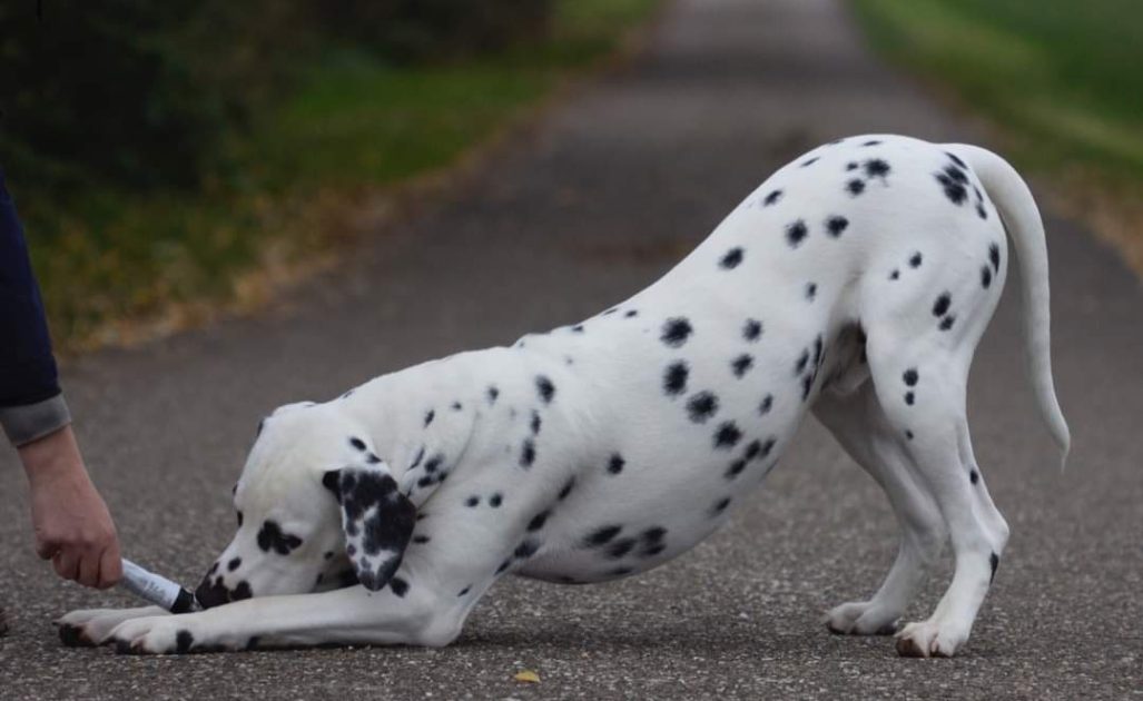 WhatsApp Image 2022-09-26 at 16.22.51