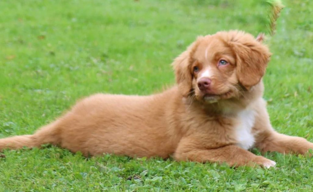 WhatsApp Image 2026-04-17 at 13.57.02