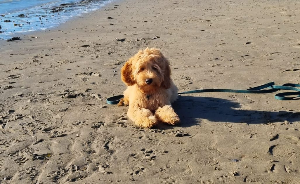 WhatsApp Image 2026-04-17 at 14.08.00