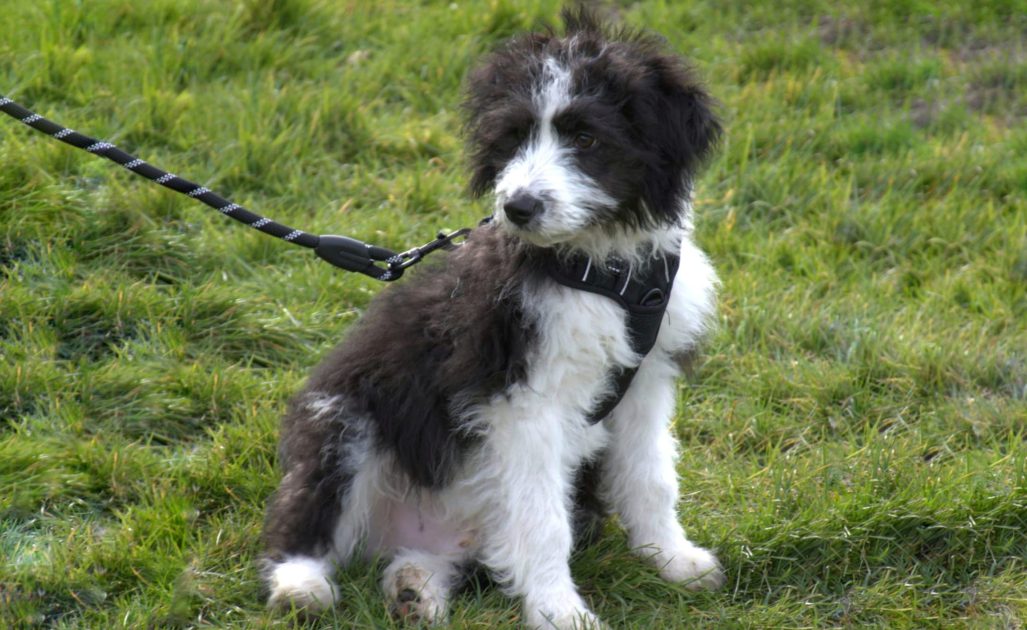 WhatsApp Image 2026-04-17 at 14.11.53