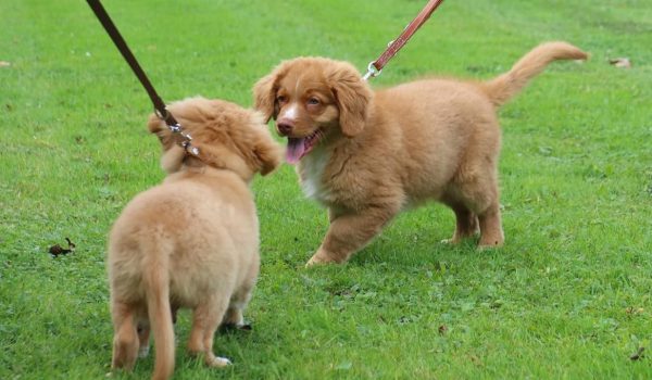 WhatsApp Image 2026-04-17 at 14.54.58