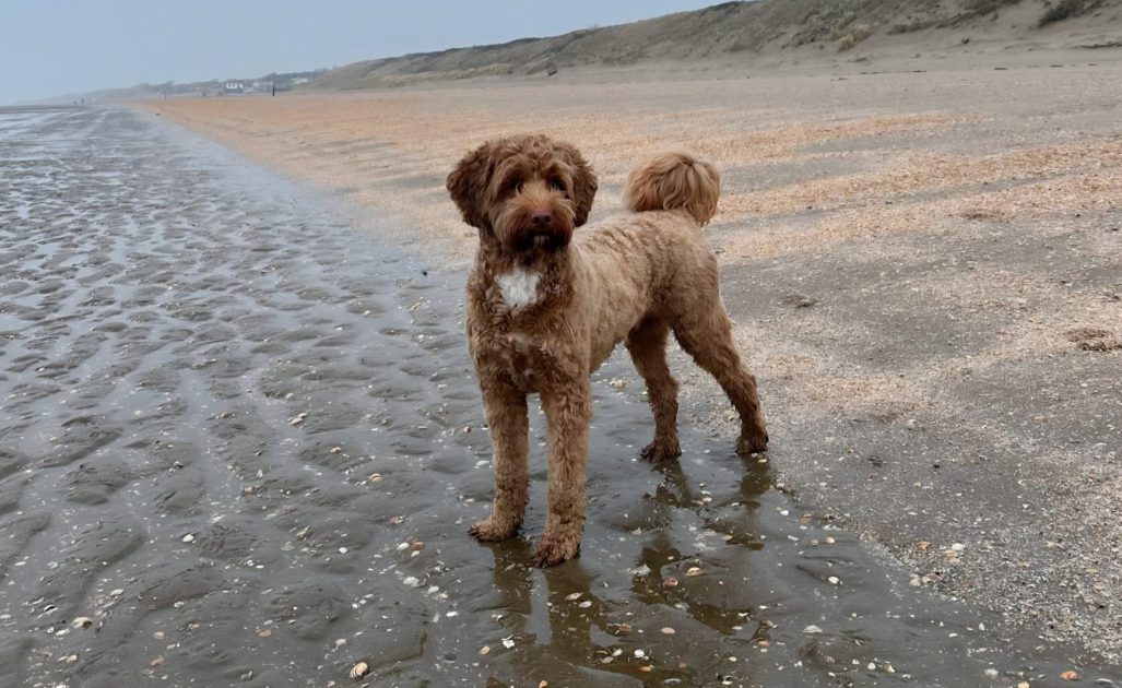 WhatsApp Image 2026-04-17 at 16.17.00