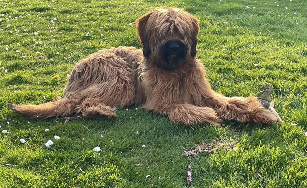 WhatsApp Image 2026-04-17 at 16.17.44