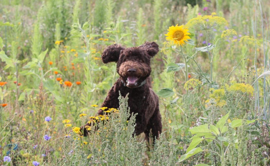 WhatsApp Image 2026-04-17 at 16.18.19