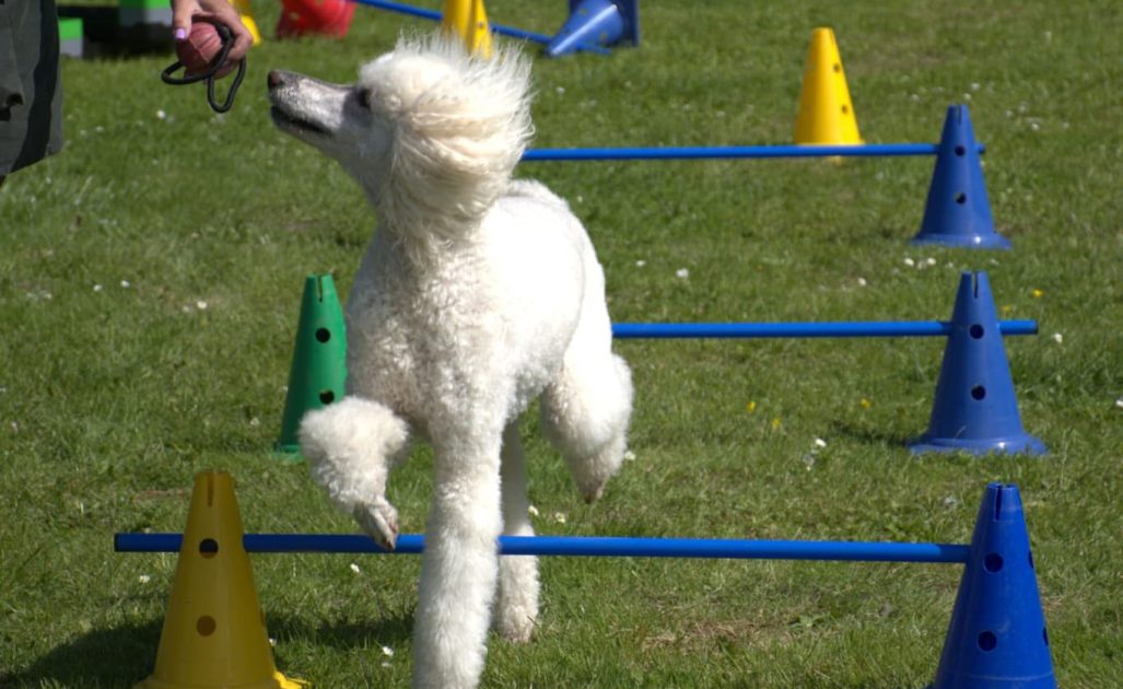 WhatsApp Image 2026-04-18 at 11.43.02 (1)