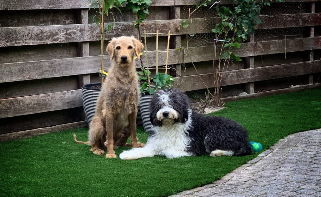 WhatsApp Image 2026-04-18 at 15.25.42